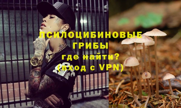 МДПВ Абинск