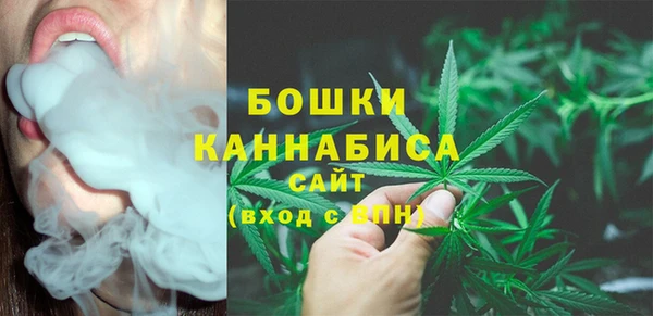 прущие грибы Россошь