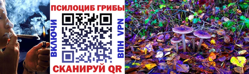 Галлюциногенные грибы GOLDEN TEACHER закладки Белоусово